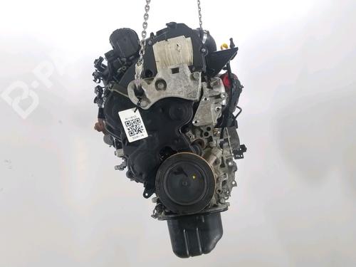 Used Engine Engine FORD FIESTA VI (CB1, CCN) 1.4 TDCi (70 hp) 11122689 11122689
