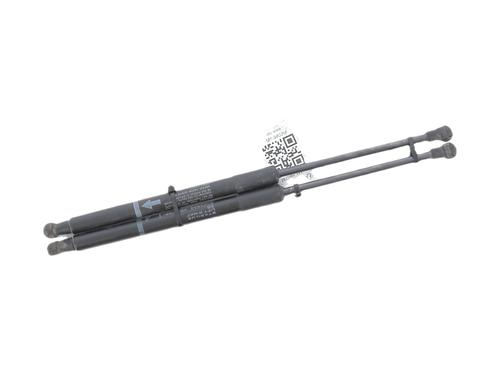 tailgate-lift-support-toyota-yaris-_p13_-2010-2011-2012-2013-2014-2015-2016-2017-2018-2019-2020-36659786 main image