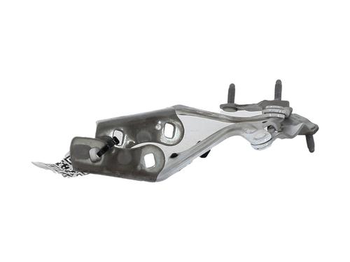Hinge/Door check strap FORD S-MAX (WA6) 2.0 TDCi | BP29381055C146 