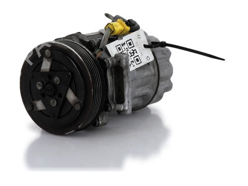 AC Kompressor PEUGEOT 206+ (2L_, 2M_) 1.4 i (2LKFWA, 2MKFWA) (75 hp) 29111393