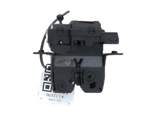 Cerradura de porton trasero RENAULT LAGUNA II (BG0/1_) 2.0 16V (BG00, BG0K, BG0P, BG0W) (135 hp) 29988144