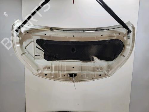 Hood NISSAN NV200 Van 1.5 dCi 110 (M20, M20N, M20M) | BP29495759C1 