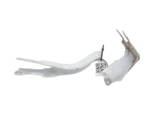 Used Hinge/Door check strap Hinge/Door check strap PEUGEOT 308 II (LB_, LP_, LW_, LH_, L3_) 1.6 HDi 100 (99 hp) 36006108 36006108