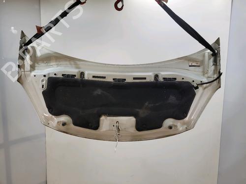 Hood CITROËN C3 II (SC_) 1.6 BlueHDi 75 | BP29624284C1 