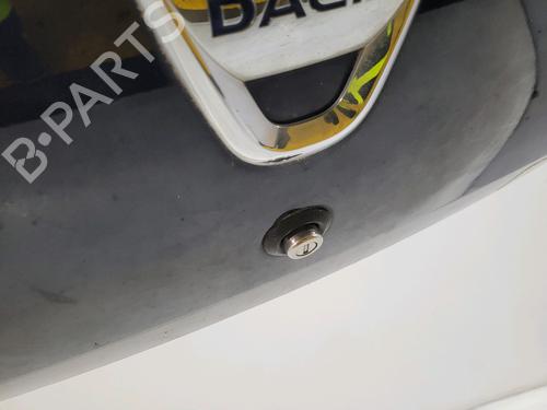 Tailgate DACIA SANDERO II 1.2 | BP29849609C6 