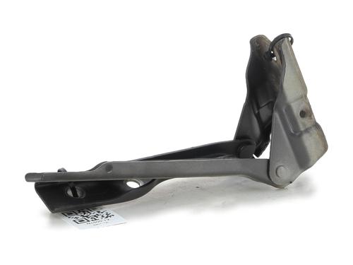 Hinge/Door check strap VW POLO V (6R1, 6C1)  | BP27913134C146 
