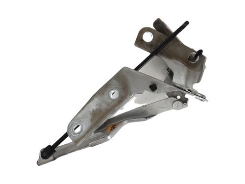 Used Hinge/Door check strap CITROËN C4 I (LC_) 1.6 HDi (90 hp) 29389955