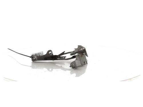 Hinge/Door check strap RENAULT LAGUNA III (BT0/1) 1.5 dCi (BT00, BT0A, BT0T, BT1J) | BP27901358C146 