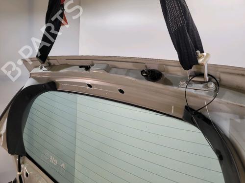 Tailgate RENAULT CLIO III (BR0/1, CR0/1) 1.5 dCi (BR17, CR17) | BP29390266C6 