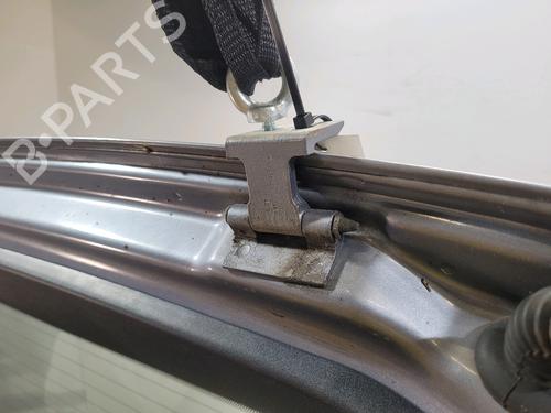 Bakluke CC/Kombi-Kupé OPEL SIGNUM Hatchback (Z03) 1.9 CDTI (F48) | BP19491778C6 