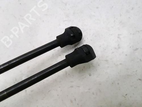 Hood lift support RENAULT KANGOO Express (FW0/1_) 1.5 dCi 75 (FW07, FW10, FW04) | BP27916958C139 