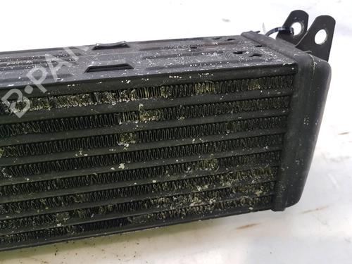 Intercooler LAND ROVER RANGE ROVER SPORT I (L320) 2.7 D 4x4 | BP16308350M30 