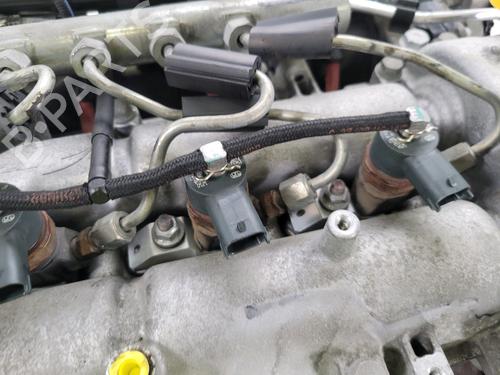 Engine FIAT BRAVO II (198_) 1.6 D Multijet (198AXH1B) | BP28506062M1 