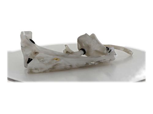 Used Windscreen washer tank Windscreen washer tank VOLVO C30 (533) 1.6 D (109 hp) 34111686 34111686