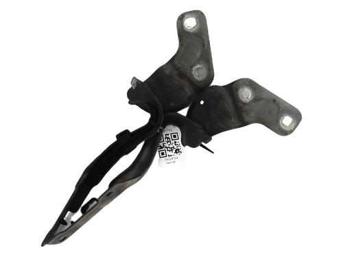 Used Hinge/Door check strap RENAULT CLIO III Grandtour (KR0/1_) 1.5 dCi (KR0G) (68 hp) 27914936