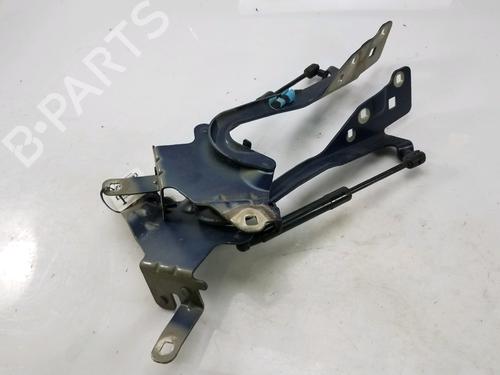 Hinge/Door check strap RENAULT SCÉNIC III (JZ0/1_) 1.9 dCi (JZ0J, JZ1J, JZ1K, JZ1S) | BP27919380C146 