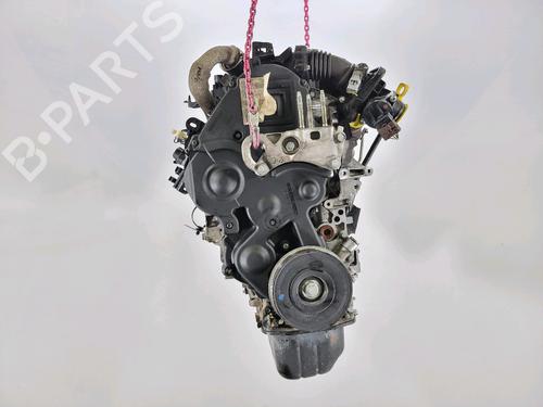 Engine FORD FUSION (JU_) 1.6 TDCi | BP29295064M1 