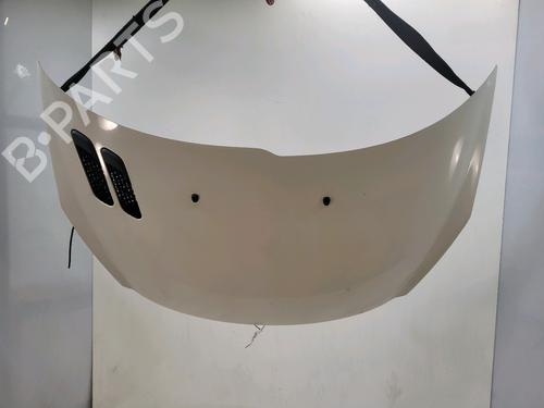 hood-peugeot-206-2l_-2m_-2009-2010-2011-2012-2013-38457279 main image
