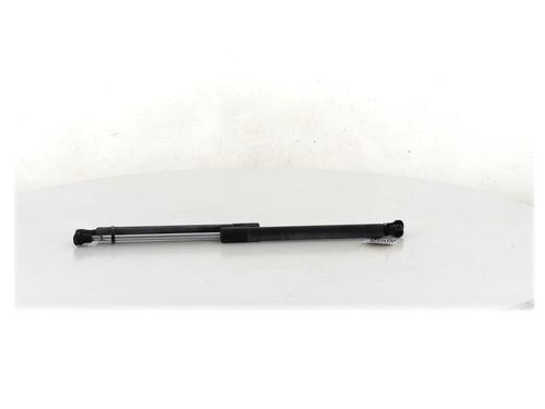 Tailgate lift support RENAULT CLIO III (BR0/1, CR0/1)  | BP27909449C138 