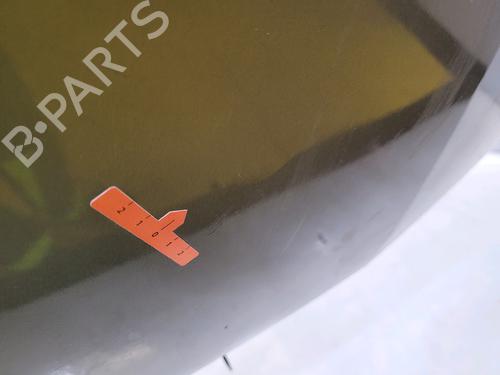 Hood RENAULT MEGANE II (BM0/1_, CM0/1_)  | BP25887377C1 