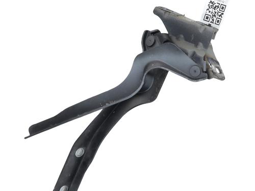 Used Hinge/Door check strap NISSAN QASHQAI I (J10, NJ10) 1.5 dCi (110 hp) 29111760