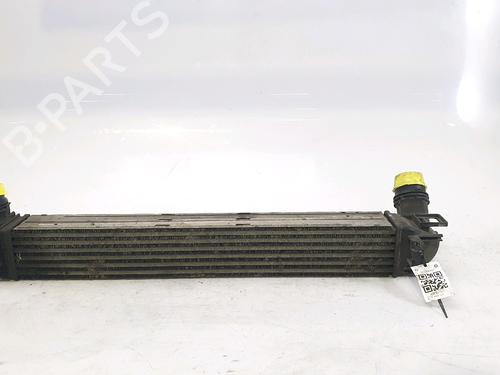 Intercooler RENAULT MEGANE III Hatchback (BZ0/1_, B3_) 1.5 dCi | BP29381523M30 