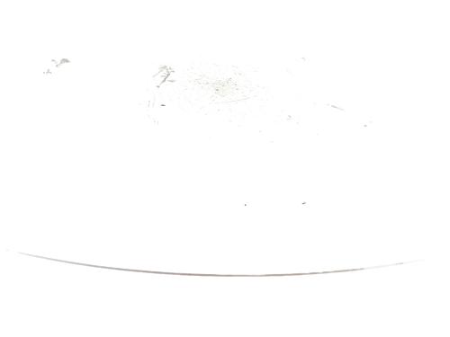 Sikkerhetsbelte-spenne RENAULT CLIO III (BR0/1, CR0/1) 1.5 dCi (C/BR0G, C/BR1G) (68 hp) 28372220