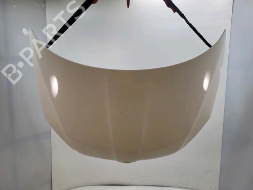 hood-skoda-fabia-ii-542-2006-2007-2008-2009-2010-2011-2012-2013-2014-31058005 main image