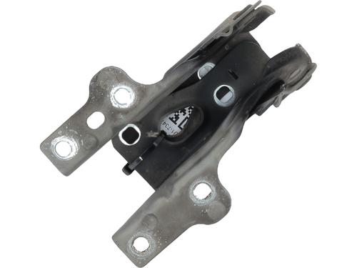 Used Hinge/Door check strap Hinge/Door check strap SEAT IBIZA IV (6J5, 6P1) 1.2 TDI (75 hp) 33309351 33309351