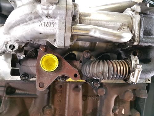 Engine RENAULT CLIO III (BR0/1, CR0/1) 1.5 dCi (BR17, CR17) | BP38344608M1 - Image 6