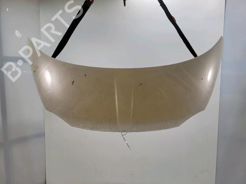 Used Hood FIAT 500 (312_) 1.3 D Multijet (312AXB1A) (75 hp) 29740842