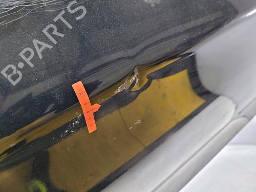 Left front door BMW 1 (E87) 118 d | BP29381875C2 