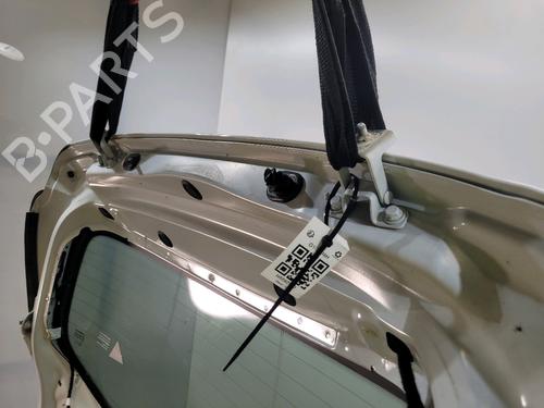 Tailgate RENAULT ZOE (BFM_) ZOE | BP30379995C6 