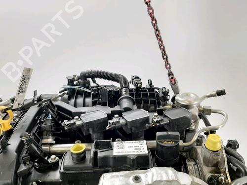 Engine FORD FIESTA VI (CB1, CCN) 1.0 EcoBoost | BP31937350M1