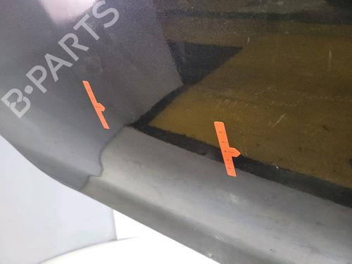Left front door RENAULT TWINGO I (C06_)  | BP27553954C2 