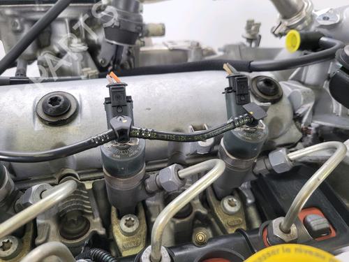 Engine RENAULT SCÉNIC III (JZ0/1_) 1.9 dCi (JZ0J, JZ1J, JZ1K, JZ1S) | BP28106192M1 