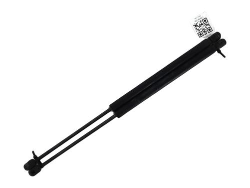 Used Tailgate lift support RENAULT SCÉNIC II (JM0/1_) 1.5 dCi (JM1E, JM16) (106 hp) 30190347