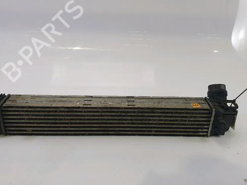 Used Intercooler RENAULT MEGANE III Coupe (DZ0/1_) 1.9 dCi (DZ0N, DZ0J, DZ1J, DZ1K) (131 hp) 28121956