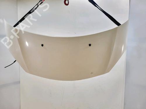 Used Hood Hood DS DS 3 (SA_) 1.2 THP 110 / PureTech 110 (SAHNPS, SAHNZ6, SAHNZT) (110 hp) 34147534 34147534