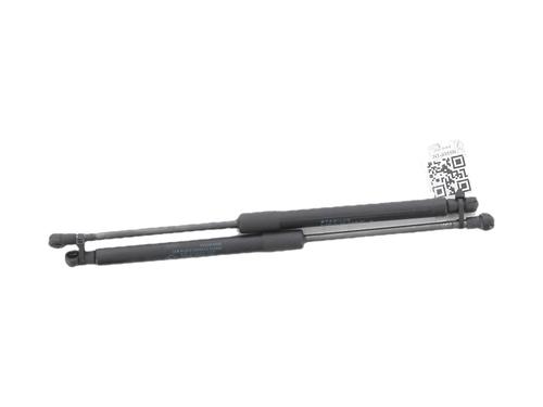 tailgate-lift-support-renault-twingo-ii-cn0_-2007-39117163 main image
