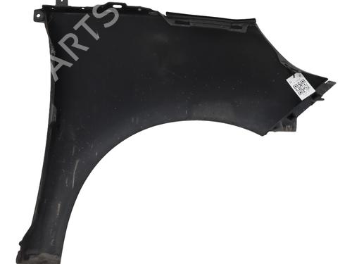 Left front fenders RENAULT SCÉNIC III (JZ0/1_) 1.9 dCi (JZ0J, JZ1J, JZ1K, JZ1S) | BP25983834C41 