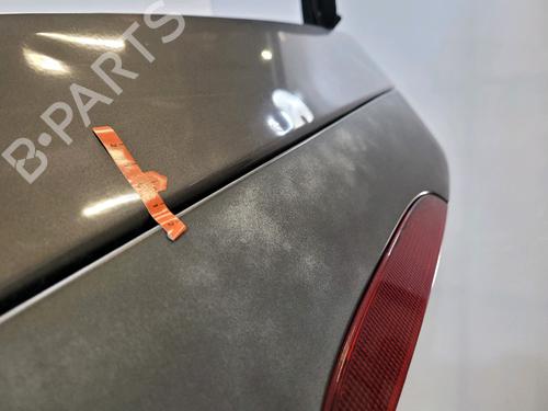 Tailgate RENAULT CLIO III (BR0/1, CR0/1) 1.5 dCi | BP30799536C6