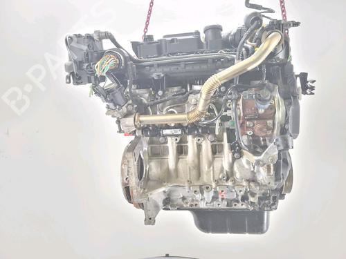 Engine PEUGEOT 206+ (2L_, 2M_) 1.4 HDi eco 70 | BP29552793M1 
