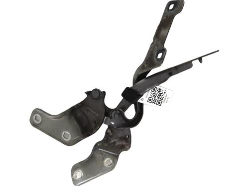 Used Hinge/Door check strap RENAULT CLIO III (BR0/1, CR0/1) [2005-2014]  27915040