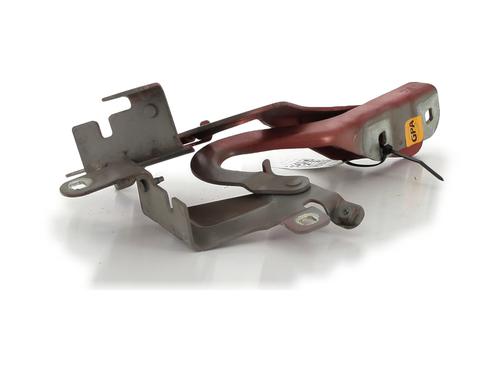 Hinge/Door check strap RENAULT CLIO IV (BH_) 1.5 dCi 90 | BP27910996C146 