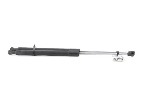 Tailgate lift support RENAULT CLIO III (BR0/1, CR0/1)  | BP27911414C138 