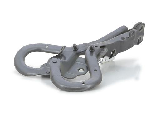 Hinge/Door check strap RENAULT ESPACE V (JR_) 1.6 TCe 200 | BP27912402C146 