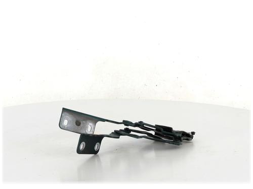 Hinge/Door check strap CITROËN SAXO (S0, S1)  | BP27908655C146 