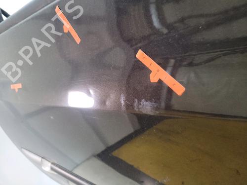 Left front door RENAULT CLIO III (BR0/1, CR0/1) 1.5 dCi | BP30313044C2 