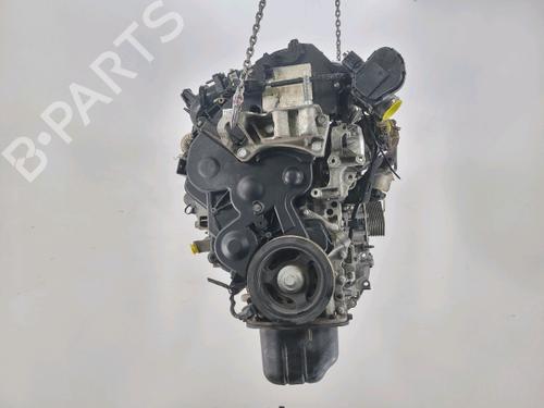 Used Engine Engine FORD GRAND C-MAX (DXA/CB7, DXA/CEU) 1.6 TDCi (115 hp) 40521041 40521041